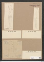 Amphora lanceolata Cleve. (de-Toni-Nr.: Genus 36, Species 1607) Zeichnungen Sammlung Grunow Nr. 3088 (NHMW-BOT-W0370498)